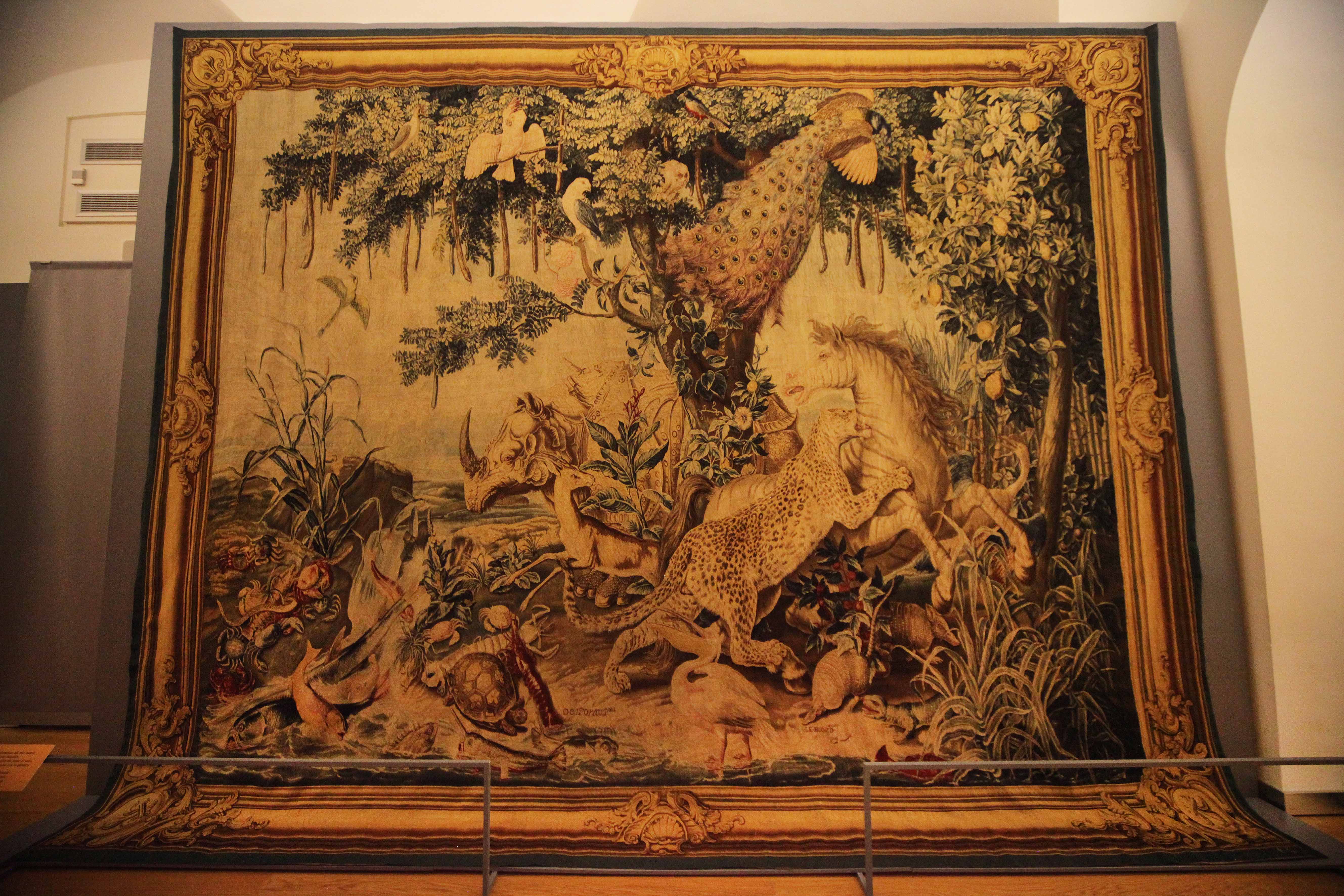 Musei Reali - Animali dalla A alla Z. Una mostra dedicata ai bambini